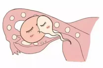 关于安悦佳妇产医院